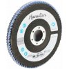 Lamelový brúsny kotúč Manutan Expert, 125 mm, zrnitosť 60 Lamelový brúsny kotúč Manutan Expert, 125 mm, zrnitosť 60