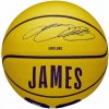 Wilson NBA Player Icon LeBron James