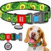 WAUDOG Nylonový obojok s QR kódom - Avokádo S 15mm 25-35cm WAUDOG Nylonový obojok s QR kódom - Avokádo S 15mm 25-35cm