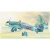 Směr Model Model Hawker Hurricane MK.II HI TECH 169x136cm 25x145x45cm 1:72 Směr Model Model Hawker Hurricane MK.II HI TECH 169x136cm 25x145x45cm 1:72