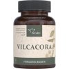Serafin Vilcacora prírodné kapsule 90 ks Serafin Vilcacora prírodné kapsule 90 ks