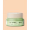 Mizon Nočný kolagénový krém Phyto Plump Collagen Night Cream - 50 ml Mizon Nočný kolagénový krém Phyto Plump Collagen Night Cream - 50 ml