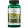 Swanson Full Spectrum Boswellia, 800mg Double Strength, 60 kapsúl Výživový doplnok Swanson Full Spectrum Boswellia, 800mg Double Strength, 60 kapsúl Výživový doplnok