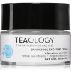 Teaology Bakuchiol Infusion Exosome Cream omladzujúci hydratačný krém proti tmavým škvrnám 50 ml