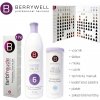 Berrywell štartovací balíček pre kaderníčky FARBFREUDE Berrywell štartovací balíček pre kaderníčky FARBFREUDE