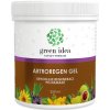 TOPVET GREEN IDEA Artroregen masážny gél 250 ml 250 ml TOPVET GREEN IDEA Artroregen masážny gél 250 ml 250 ml