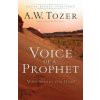 Voice of a Prophet - Who Speaks for God? Voice of a Prophet - Who Speaks for God?