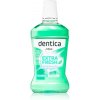 Tołpa Dentica Extra Fresh ústna voda pre dlhotrvajúci svieži dych 500 ml Tołpa Dentica Extra Fresh ústna voda pre dlhotrvajúci svieži dych 500 ml