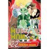Viz Media Hunter x Hunter 22 Viz Media Hunter x Hunter 22