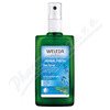 WELEDA Šalvějový deodorant 100ml WELEDA Šalvějový deodorant 100ml