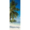 Komar Vliesová fototapeta Coconut Bay 100 x 280 cm Komar Vliesová fototapeta Coconut Bay 100 x 280 cm