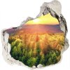 Nálepka 3D diera na stenu Forest sunset 75x75 cm Nálepka 3D diera na stenu Forest sunset 75x75 cm