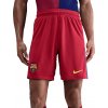 Šortky Nike Dri-FIT FC Barcelona 4th 2025/26 fz1332-602 Veľkosť L Šortky Nike Dri-FIT FC Barcelona 4th 2025/26 fz1332-602 Veľkosť L