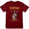 Harry Potter - Gryffindor - tričko L Harry Potter - Gryffindor - tričko L