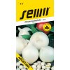 SEMO Cibuľa jarná - Agostana biela 1g SEMO Cibuľa jarná - Agostana biela 1g