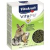 Doplnok stravy pre hlodavce Vitakraft Vita C-Forte 100 g Doplnok stravy pre hlodavce Vitakraft Vita C-Forte 100 g