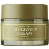 I'm From Mugwort Cream Upokojujúci pleťový krém s extraktom z paliny 50 g I'm From Mugwort Cream Upokojujúci pleťový krém s extraktom z paliny 50 g