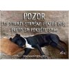 Pozorpes.sk, výstražná tabuľka (Stafordšírsky teriér) Pozorpes.sk, výstražná tabuľka (Stafordšírsky teriér)