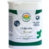 Salvia Paradise Chlorella Japanese tablety - dátum minimálnej trvanlivosti 2/2024 - 125 ks Salvia Paradise Chlorella Japanese tablety - dátum minimálnej trvanlivosti 2/2024 - 125 ks