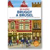 Brusel a Bruggy do kapsy - Lonely Planet