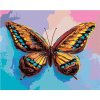 Diamondi Diamantové maľovanie - FAREBNÝ MOTÝĽ NA RUŽOVOMODROM POZADIÍ Rámovanie: bez rámu a bez vypnutia plátna, Rozmer: 40x50 cm Diamondi Diamantové maľovanie - FAREBNÝ MOTÝĽ NA RUŽOVOMODROM POZADIÍ Rámovanie: bez rámu a bez vypnutia plátna, Rozmer: 40x50 cm