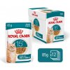 Royal canin Ageing 15 + gravy kúsky v šťave pre mačky staršie ako 15 rokov 85 g Royal canin Ageing 15 + gravy kúsky v šťave pre mačky staršie ako 15 rokov 85 g