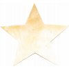Amadeus Kovová hviezda na stenu 9 cm