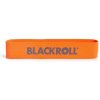 BLACKROLL LOOP BAND Light BLACKROLL LOOP BAND Light