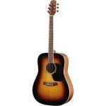 WALDEN D-350SN