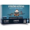Výbušná koťátka Recepty na katastrofu - autor neuvedený Výbušná koťátka Recepty na katastrofu - autor neuvedený