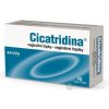 Cicatridine Vaginálne čapíky 10 ks Cicatridine Vaginálne čapíky 10 ks
