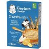Gerber Junior nemléčná kaše ovocná s křupavými kousky 200 g Gerber Junior nemléčná kaše ovocná s křupavými kousky 200 g
