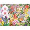Cobble Hill - Puzzle Kolibrík - 500 dielov Cobble Hill - Puzzle Kolibrík - 500 dielov