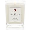 Geodesis Classic – CLOVE TREE VONNÁ SVIEČKA 180 g Geodesis Classic – CLOVE TREE VONNÁ SVIEČKA 180 g