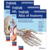 THIEME Atlas of Anatomy, Latin Nomenclature, Three Volume Set, Fourth Edition (Erik Schulte,Udo Schumacher,Markus Voll,Karl H. Wesker)(Pevná) THIEME Atlas of Anatomy, Latin Nomenclature, Three Volume Set, Fourth Edition (Erik Schulte,Udo Schumacher,Markus Voll,Karl H. Wesker)(Pevná)