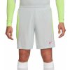 Šortky Nike Dri-FIT Strike dv9276-043 Veľkosť S Šortky Nike Dri-FIT Strike dv9276-043 Veľkosť S