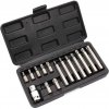 Sada bitov 15-dielna TORX, XL-TOOLS Sada bitov 15-dielna TORX, XL-TOOLS
