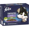FELIX Fantastic Multipack kapsička 12x85g hovädzie s mrkvou, kurča s paradajkami, losos s cuketou, pstruh so zel. fazuľkami v želé FELIX Fantastic Multipack kapsička 12x85g hovädzie s mrkvou, kurča s paradajkami, losos s cuketou, pstruh so zel. fazuľkami v želé