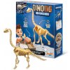 Buki France Dinodig vykopávka a kostra Brachiosaurus Buki France Dinodig vykopávka a kostra Brachiosaurus