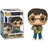 Funko Pop! 180 Harry Potter