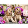 Puzzle Enjoy Šteniatka kokeršpaniel s kvetinovými klobúčikmi 1000 dielikov (1263) Puzzle Enjoy Šteniatka kokeršpaniel s kvetinovými klobúčikmi 1000 dielikov (1263)