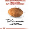 Royal Canin Persian Adult 2 kg suché krmivo pre mačky Royal Canin Persian Adult 2 kg suché krmivo pre mačky