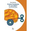 Come funziona il cervello? Alcune linee guida (Piero Benassi)(Brožovaná) Come funziona il cervello? Alcune linee guida (Piero Benassi)(Brožovaná)