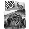Detexpol obliečky Zebra Bavlna 200x220 2x70x80