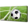 Foto obraz na plátne Lopta v bramce 100x50 cm Foto obraz na plátne Lopta v bramce 100x50 cm