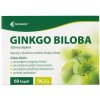 Noventis Ginkgo Biloba 40 mg 60 kapsúl