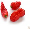 Bhut jolokia red (semená) Bhut jolokia red (semená)