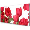 Skleneny obraz Tulipány kvety rastlina 100x50 cm Skleneny obraz Tulipány kvety rastlina 100x50 cm