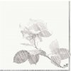 Sahm Obrúsok 3 V GREY ROSE 100024314 33x33cm 50ks Sahm Obrúsok 3 V GREY ROSE 100024314 33x33cm 50ks