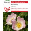 Saflax Ruža šípová - 50 zŕn